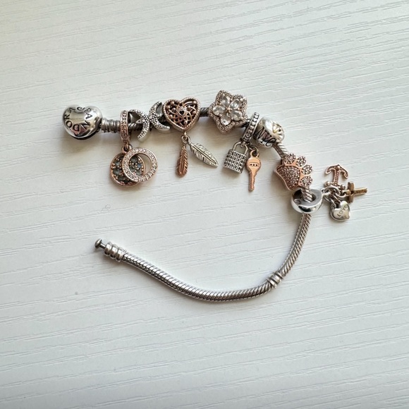 Pandora with all charms for $250 the whole bracelet for 250 - Picture 2 of 2